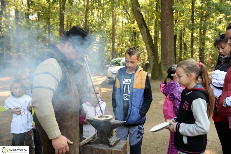 Nyírerdő nap a tornapályán