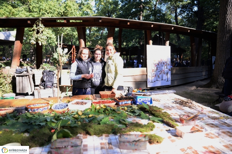 Nyírerdő nap a tornapályán