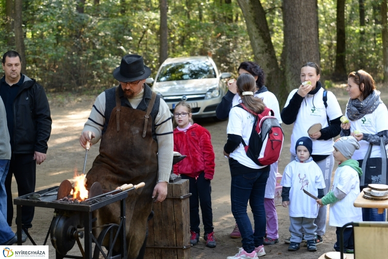 Nyírerdő nap a tornapályán