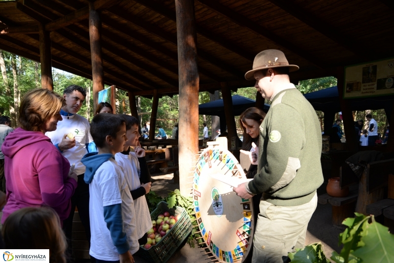 Nyírerdő nap a tornapályán