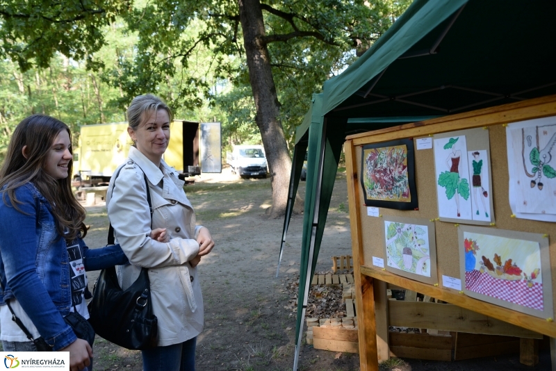 Nyírerdő nap a tornapályán