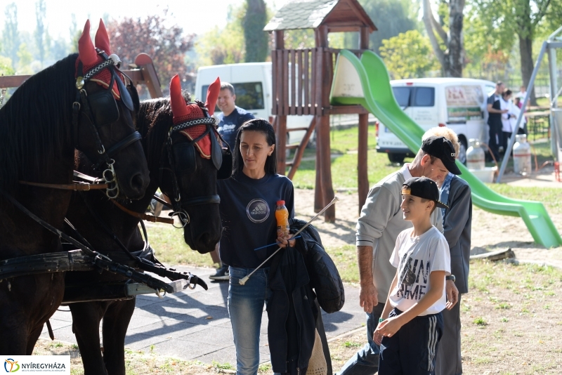 Őszköszöntő Oroson