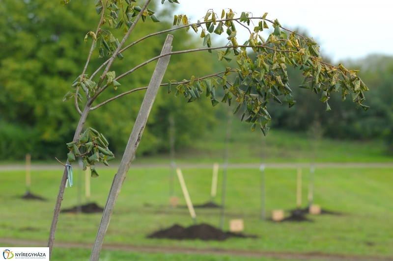Családi faültetés az Újélet-fa Ligetben