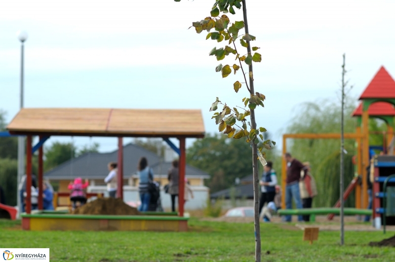 Családi faültetés az Újélet-fa Ligetben