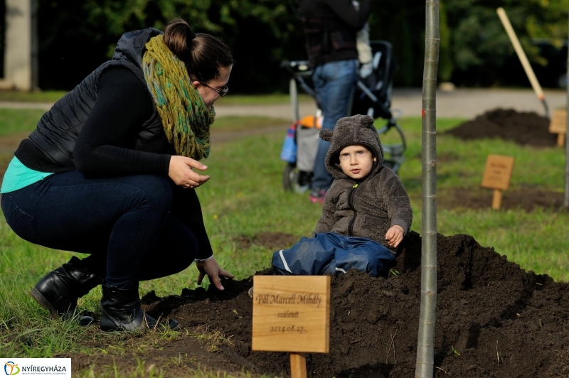 Családi faültetés az Újélet-fa Ligetben