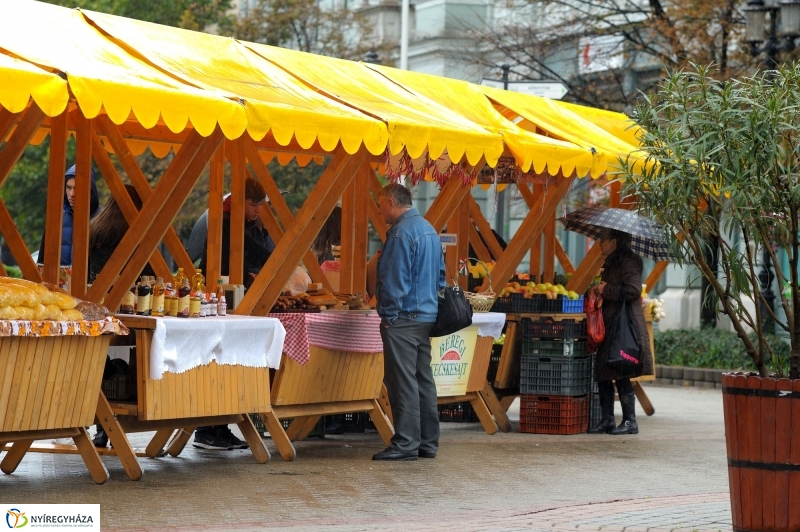 Krúdy Napok a Kossuth téren