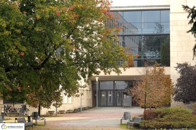 Az NYF és a kórház együttműködése