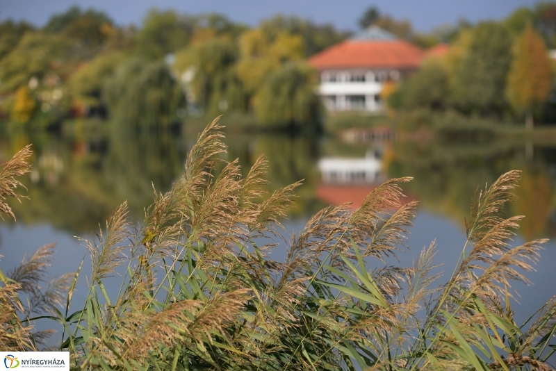 Sóstói séta a tó körül