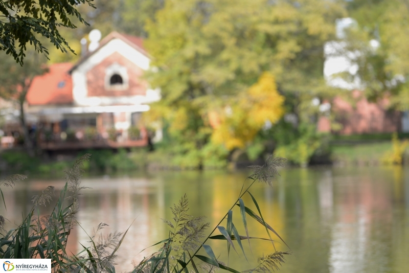 Sóstói séta a tó körül