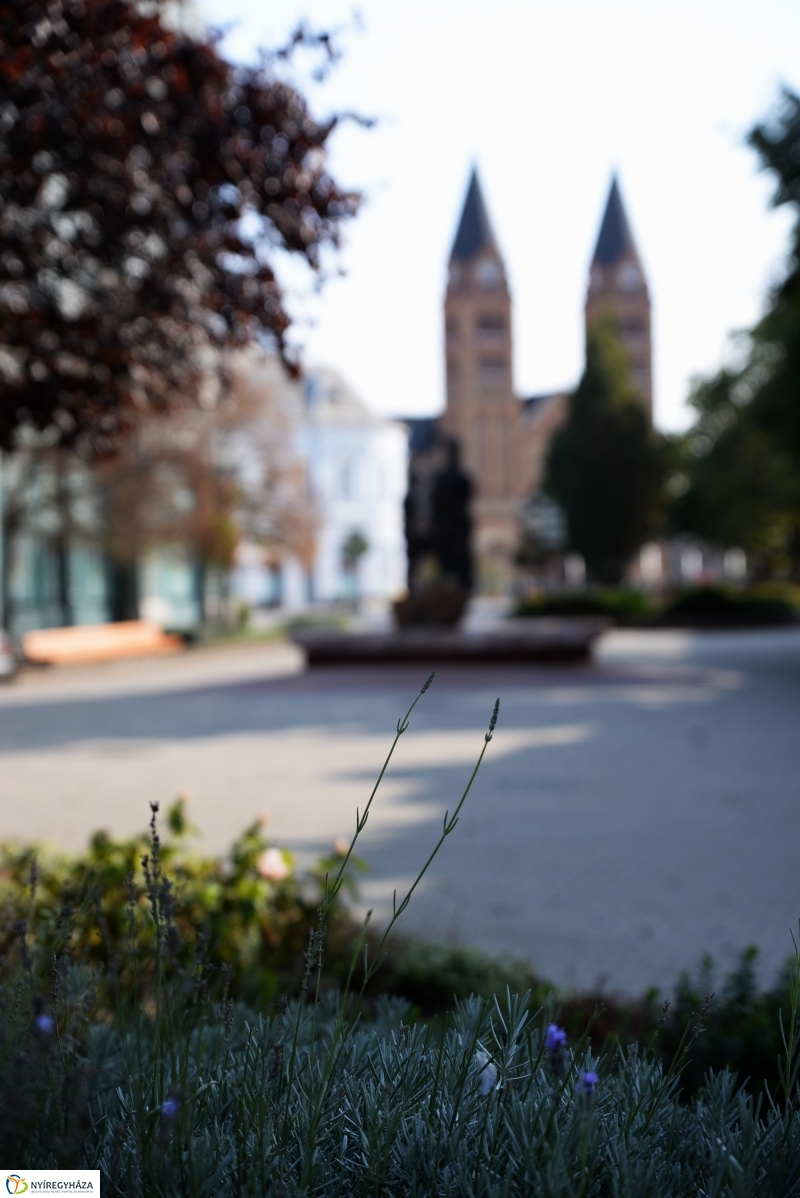 Belvárosi séta az őszi napsütésben