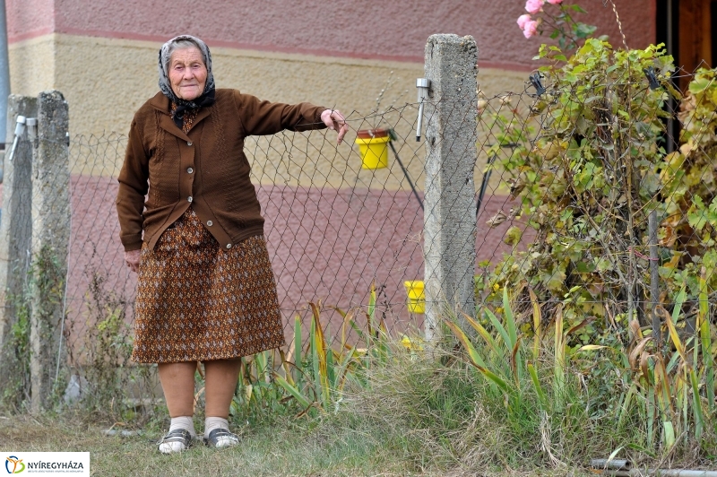 Szépkorú köszöntése