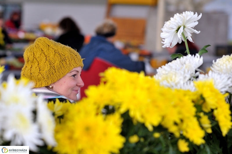 Készülődés a Mindenszentekre