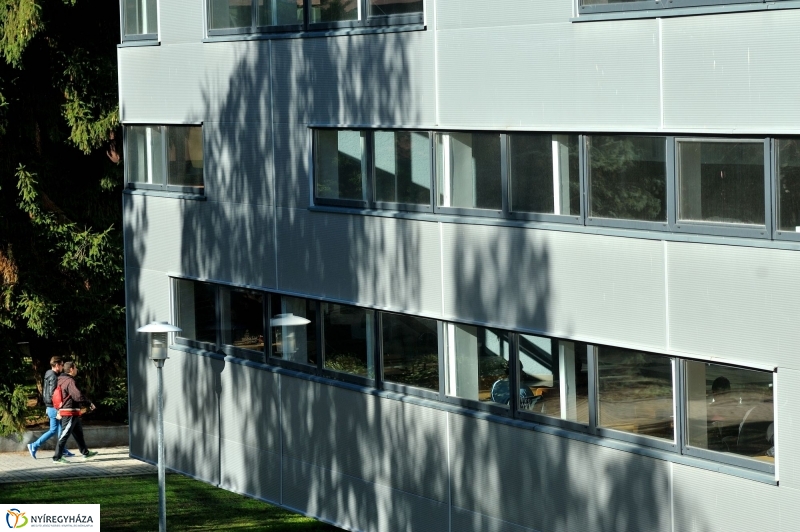 Testnevelési és Sportudományi Szakmai Kollégium sajtótájékoztatója