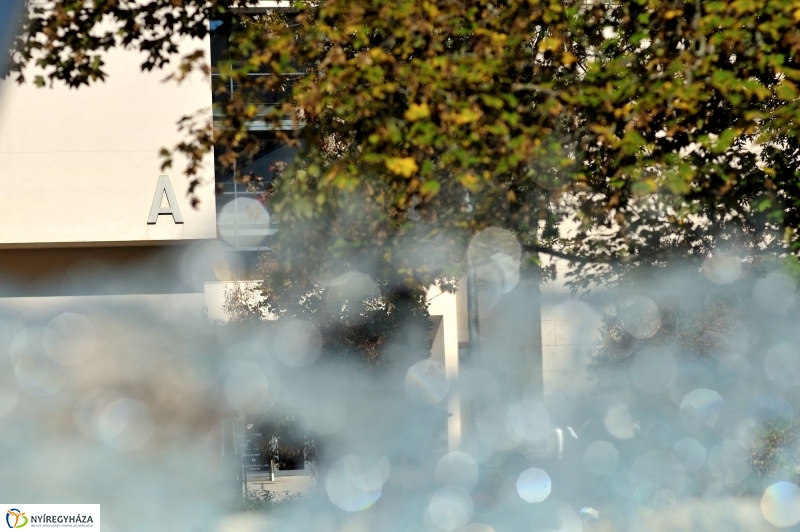 Testnevelési és Sportudományi Szakmai Kollégium sajtótájékoztatója