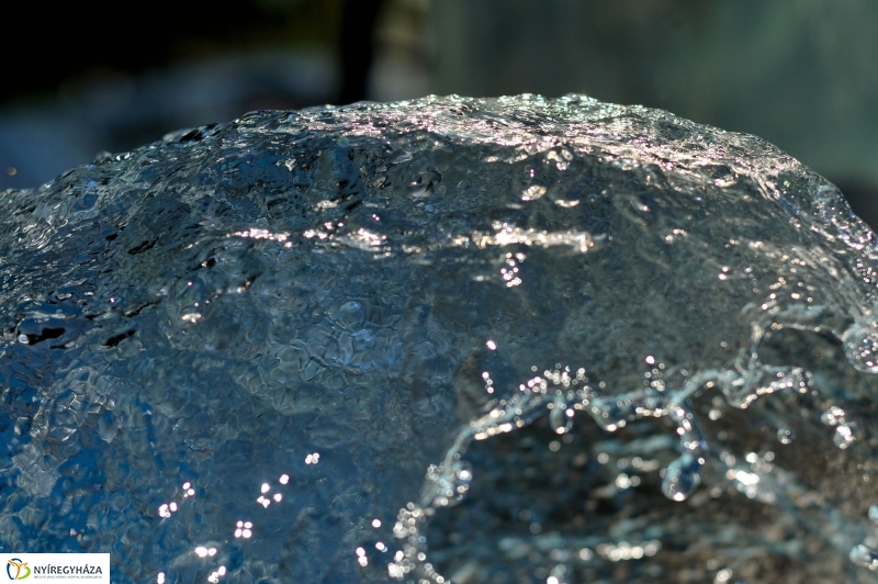 Testnevelési és Sportudományi Szakmai Kollégium sajtótájékoztatója