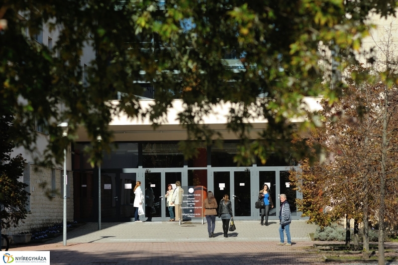 Testnevelési és Sportudományi Szakmai Kollégium sajtótájékoztatója