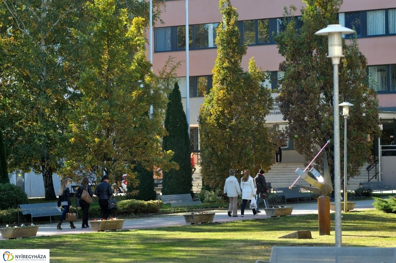 Testnevelési és Sportudományi Szakmai Kollégium sajtótájékoztatója