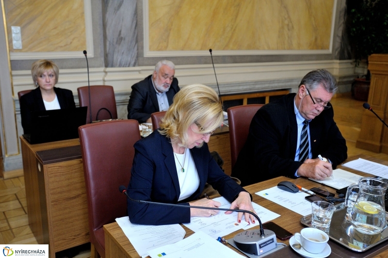 Városi Közgyűlés