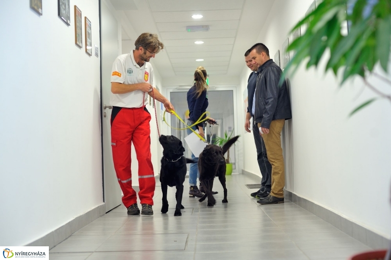 Speciális Mentősök a Szieszta c. műsorban