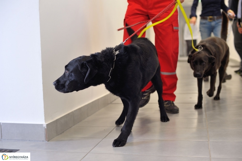 Speciális Mentősök a Szieszta c. műsorban