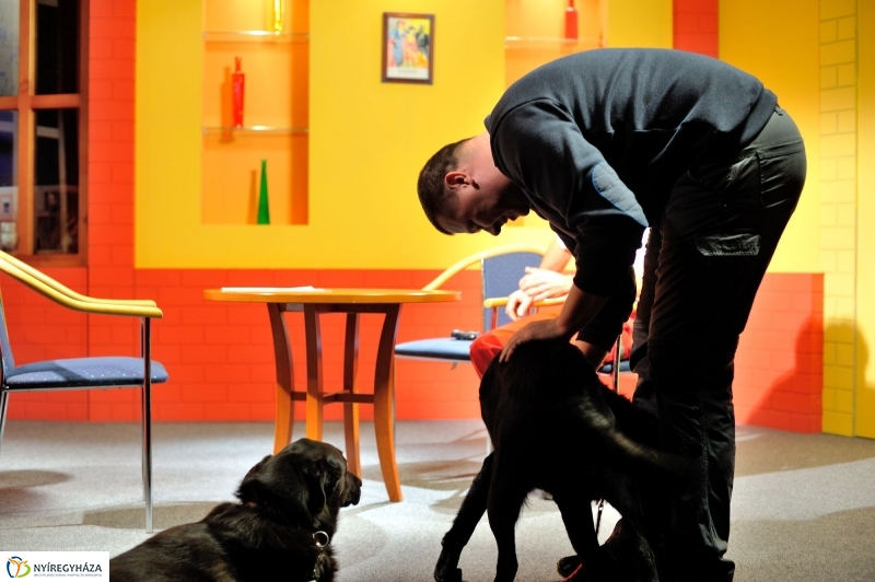 Speciális Mentősök a Szieszta c. műsorban