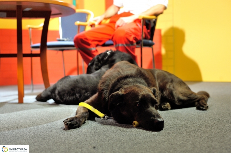 Speciális Mentősök a Szieszta c. műsorban