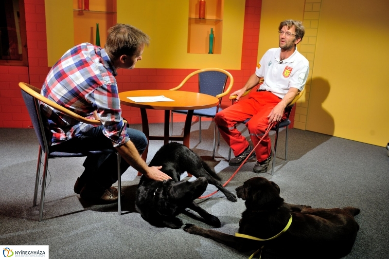 Speciális Mentősök a Szieszta c. műsorban