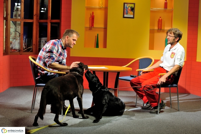 Speciális Mentősök a Szieszta c. műsorban