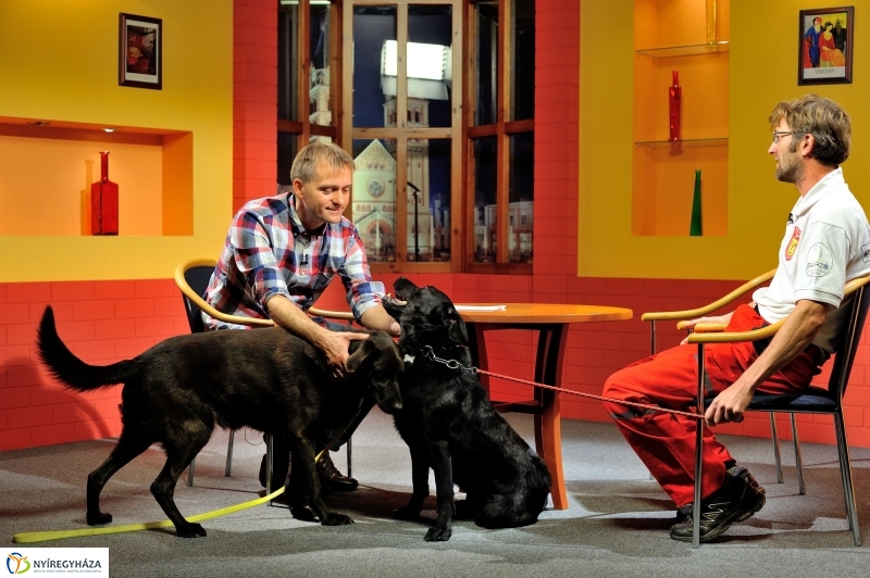 Speciális Mentősök a Szieszta c. műsorban