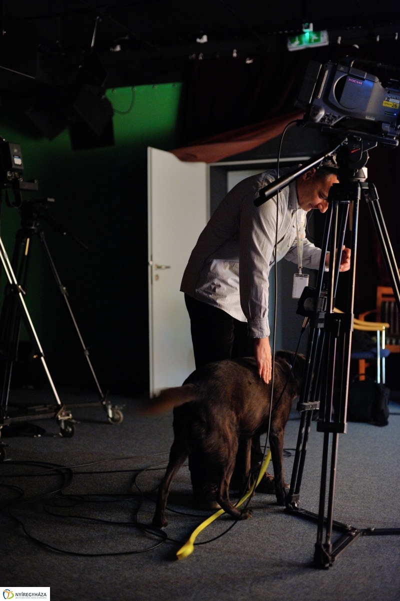 Speciális Mentősök a Szieszta c. műsorban