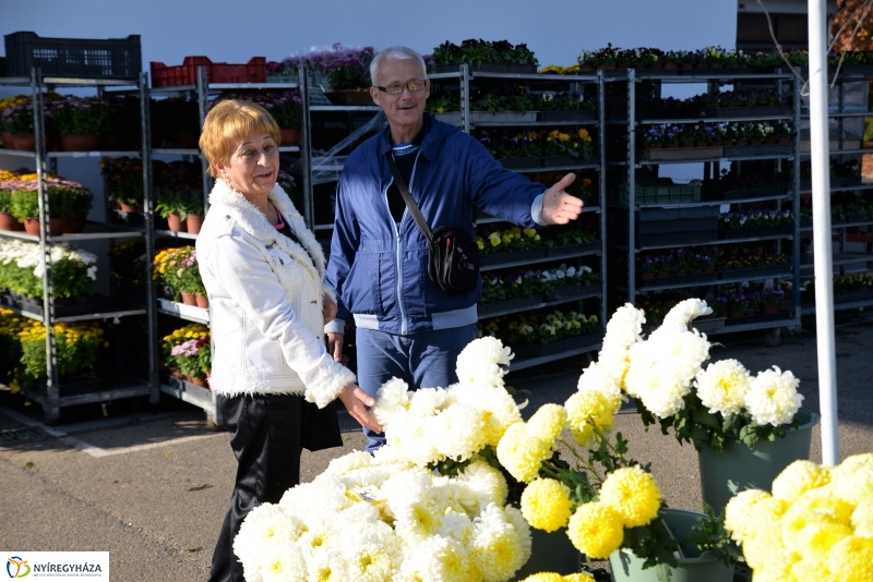 Napsütés és virágözön a piacon