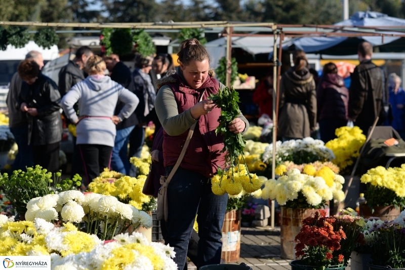 Napsütés és virágözön a piacon