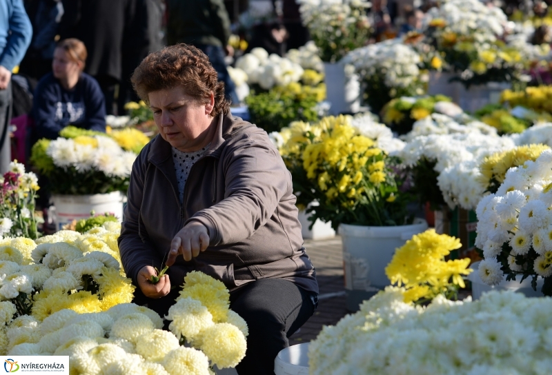 Napsütés és virágözön a piacon