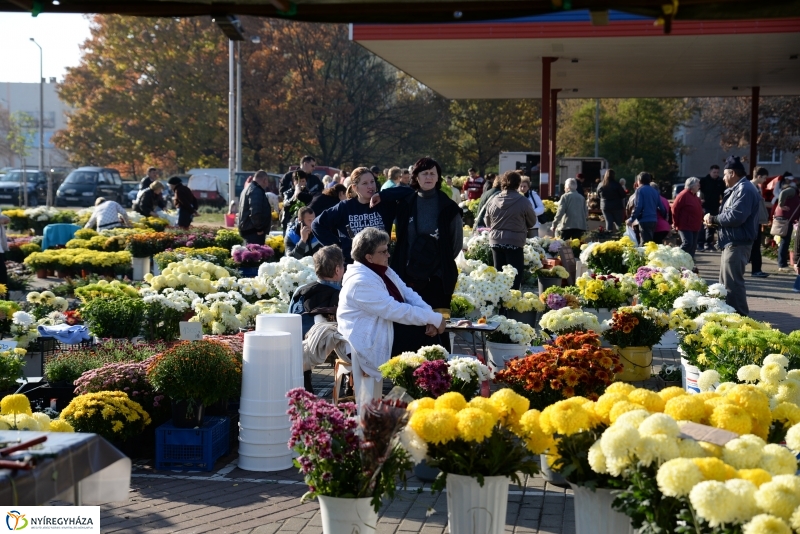 Napsütés és virágözön a piacon
