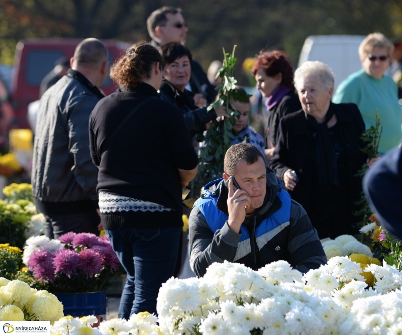 Napsütés és virágözön a piacon