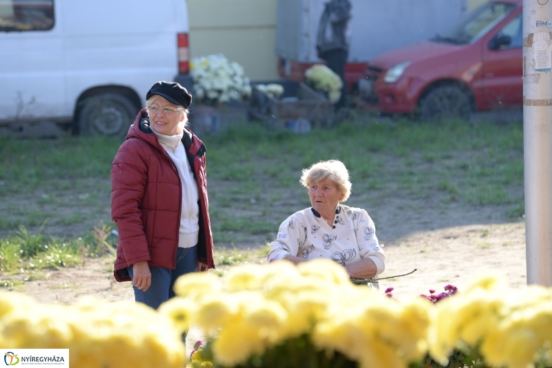 Napsütés és virágözön a piacon