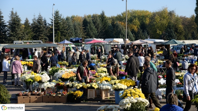 Napsütés és virágözön a piacon