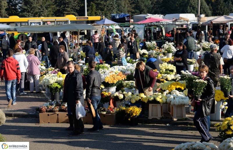 Napsütés és virágözön a piacon
