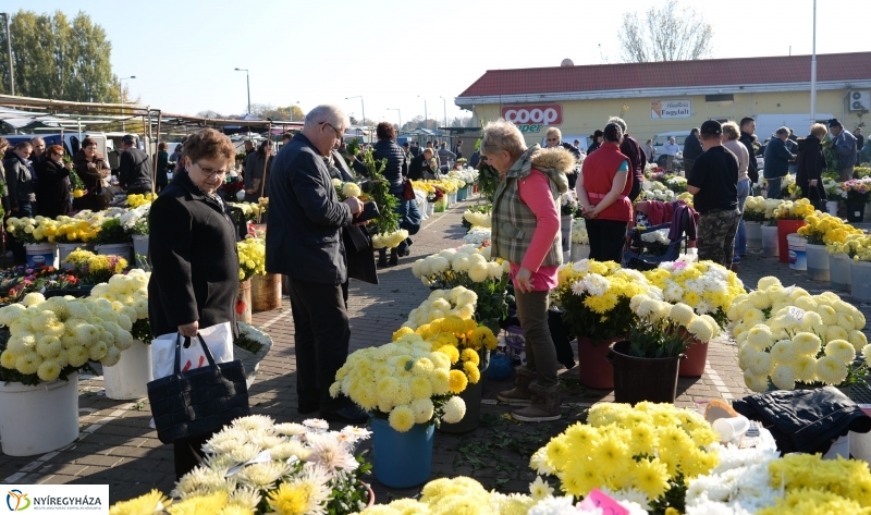 Napsütés és virágözön a piacon