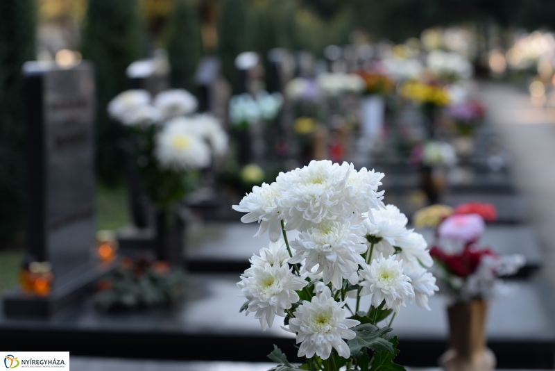 Az emlékezés virágai az Északi Temetőben