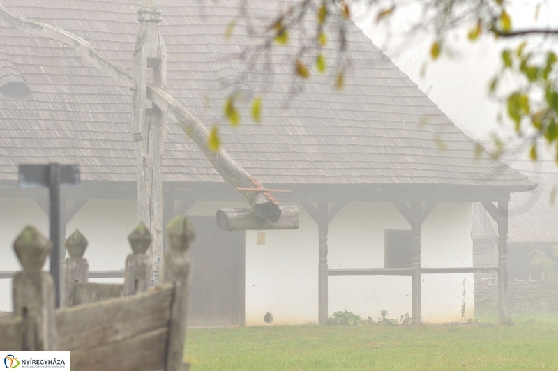 Nád a házam teteje