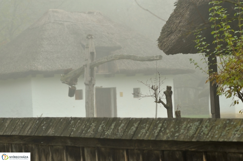 Nád a házam teteje