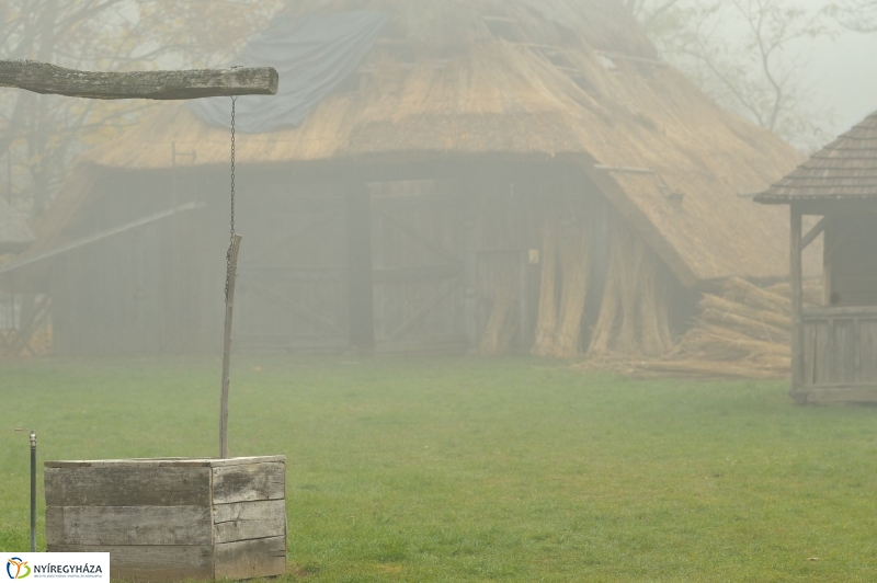 Nád a házam teteje