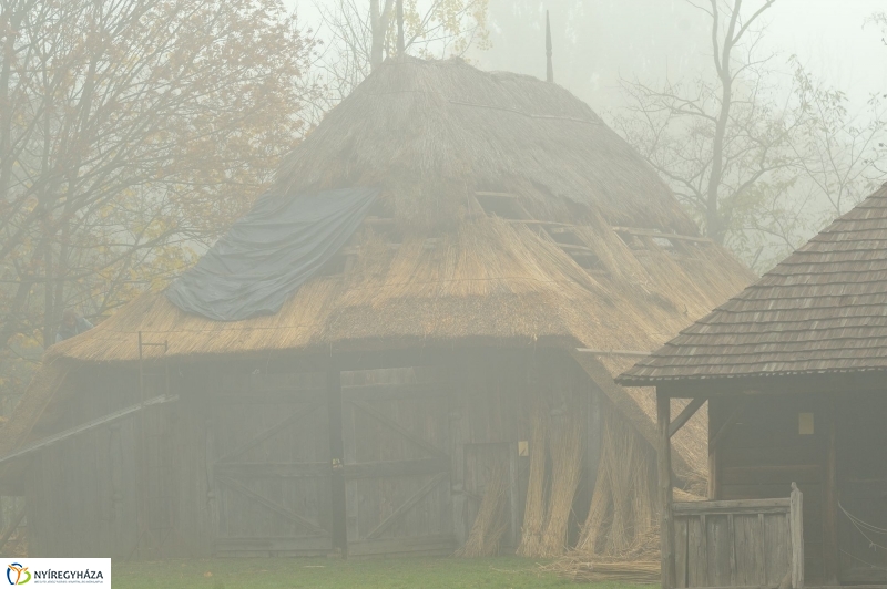 Nád a házam teteje
