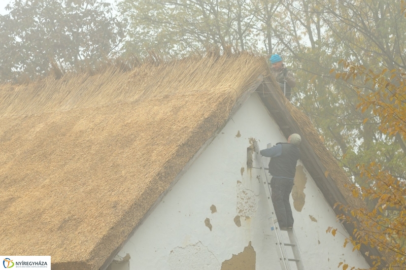 Nád a házam teteje