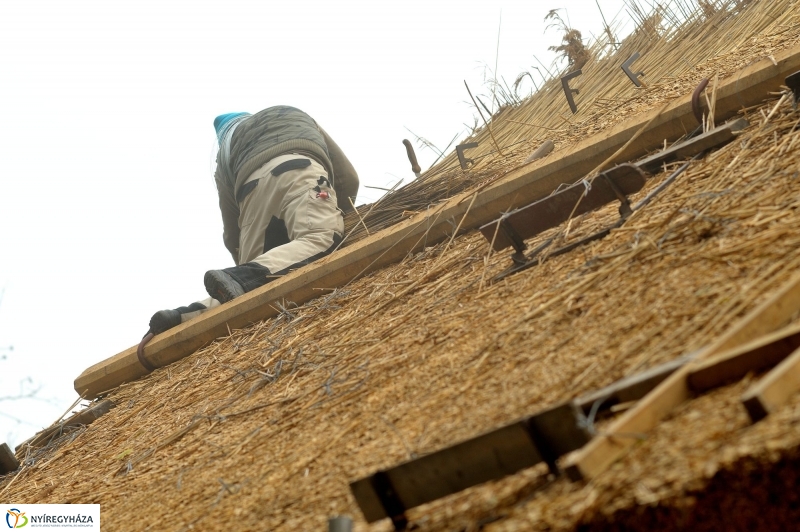 Nád a házam teteje