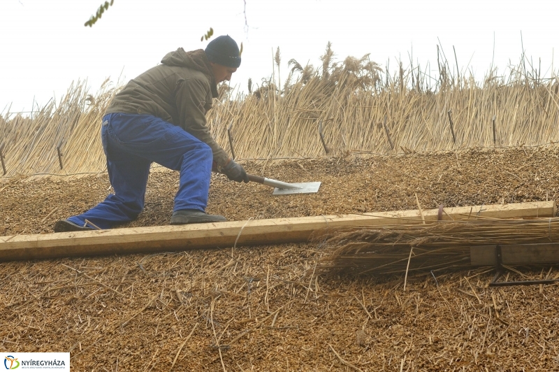 Nád a házam teteje