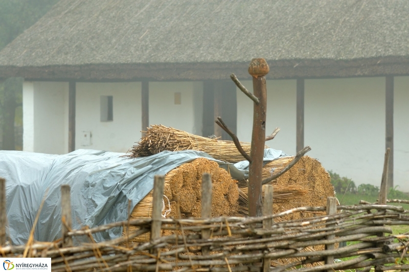 Nád a házam teteje