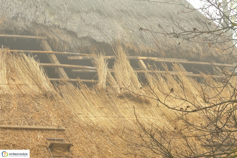 Nád a házam teteje