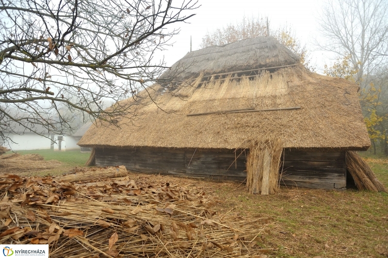 Nád a házam teteje